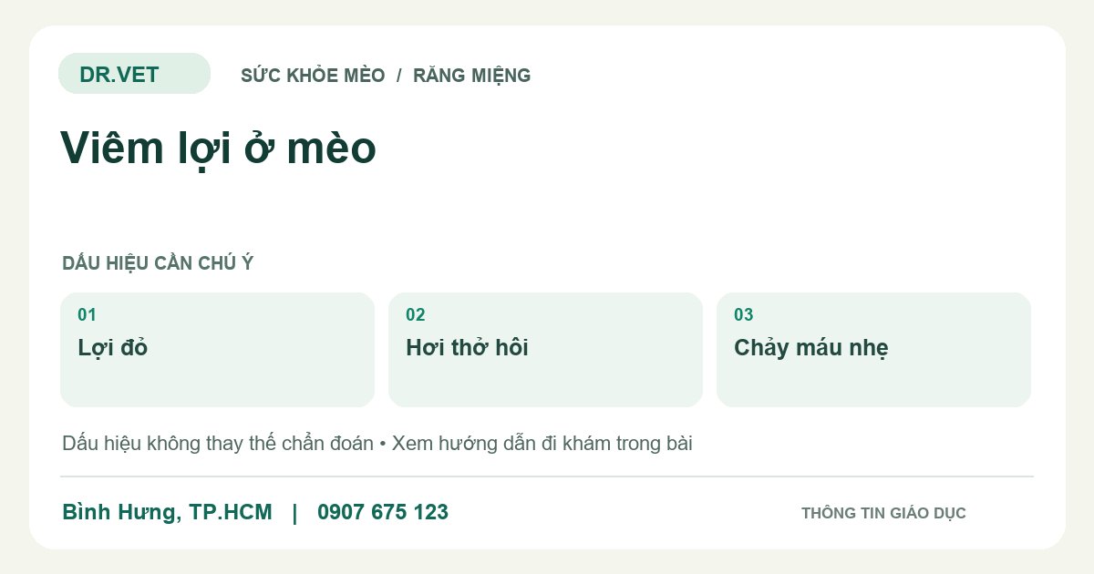 Đồ họa giáo dục: Viêm lợi ở mèo – lợi đỏ, hơi thở hôi, chảy máu nhẹ. Không phải ảnh ca bệnh.