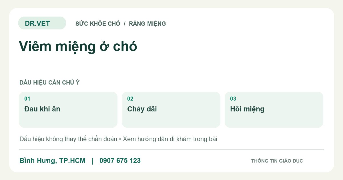 Đồ họa giáo dục: Viêm miệng ở chó – đau khi ăn, chảy dãi, hôi miệng. Không phải ảnh ca bệnh.
