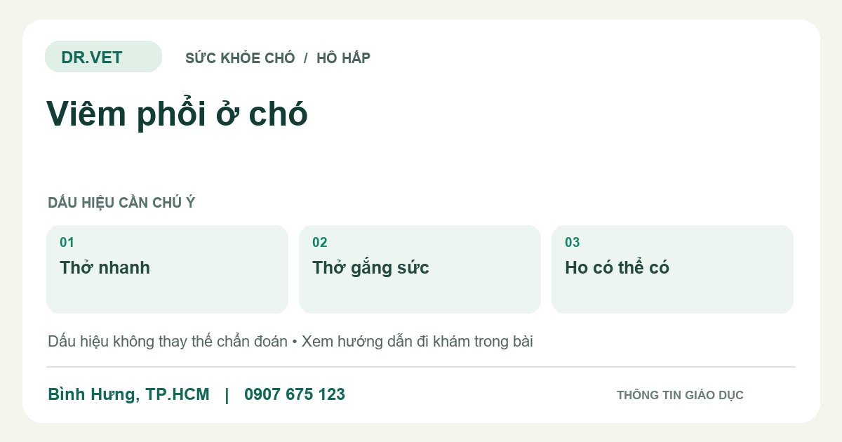 Đồ họa giáo dục: Viêm phổi ở chó – thở nhanh, thở gắng sức, ho có thể có. Không phải ảnh ca bệnh.