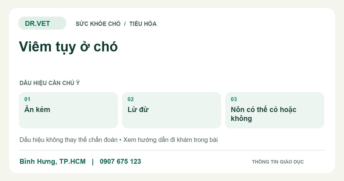 Đồ họa giáo dục: Viêm tụy ở chó – ăn kém, lừ đừ, nôn có thể có hoặc không. Không phải ảnh ca bệnh.