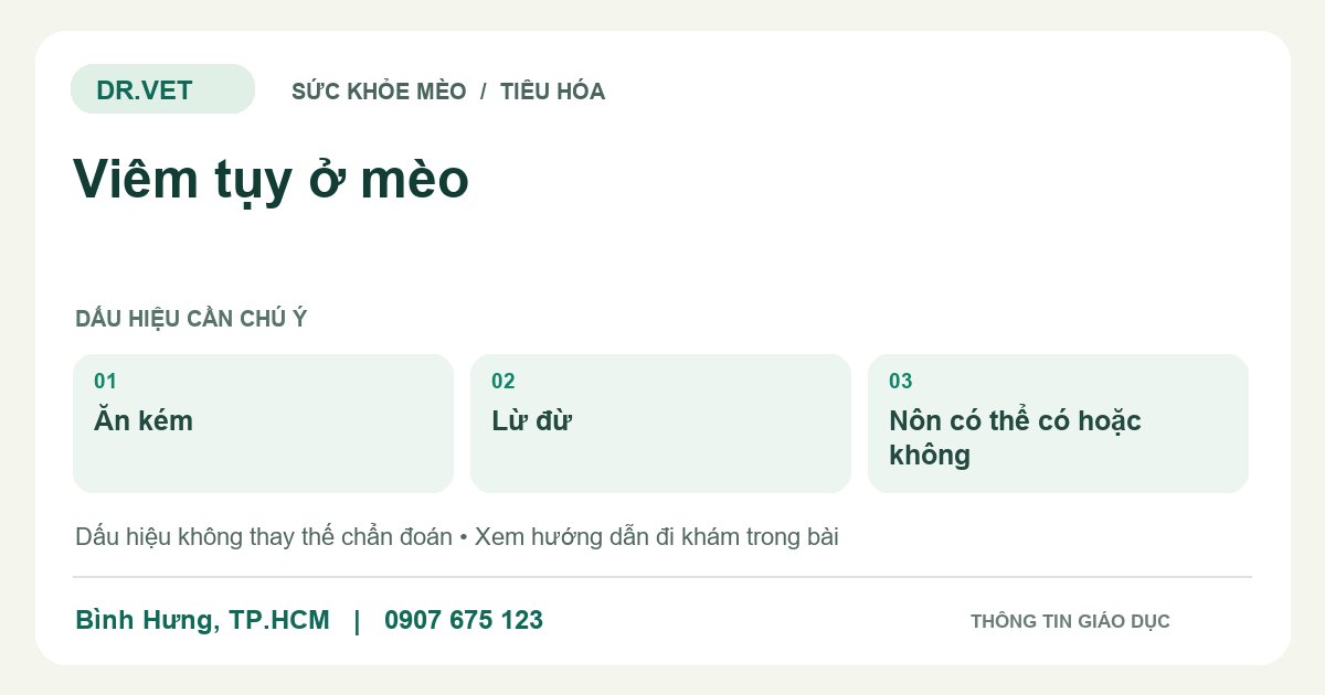 Đồ họa giáo dục: Viêm tụy ở mèo – ăn kém, lừ đừ, nôn có thể có hoặc không. Không phải ảnh ca bệnh.