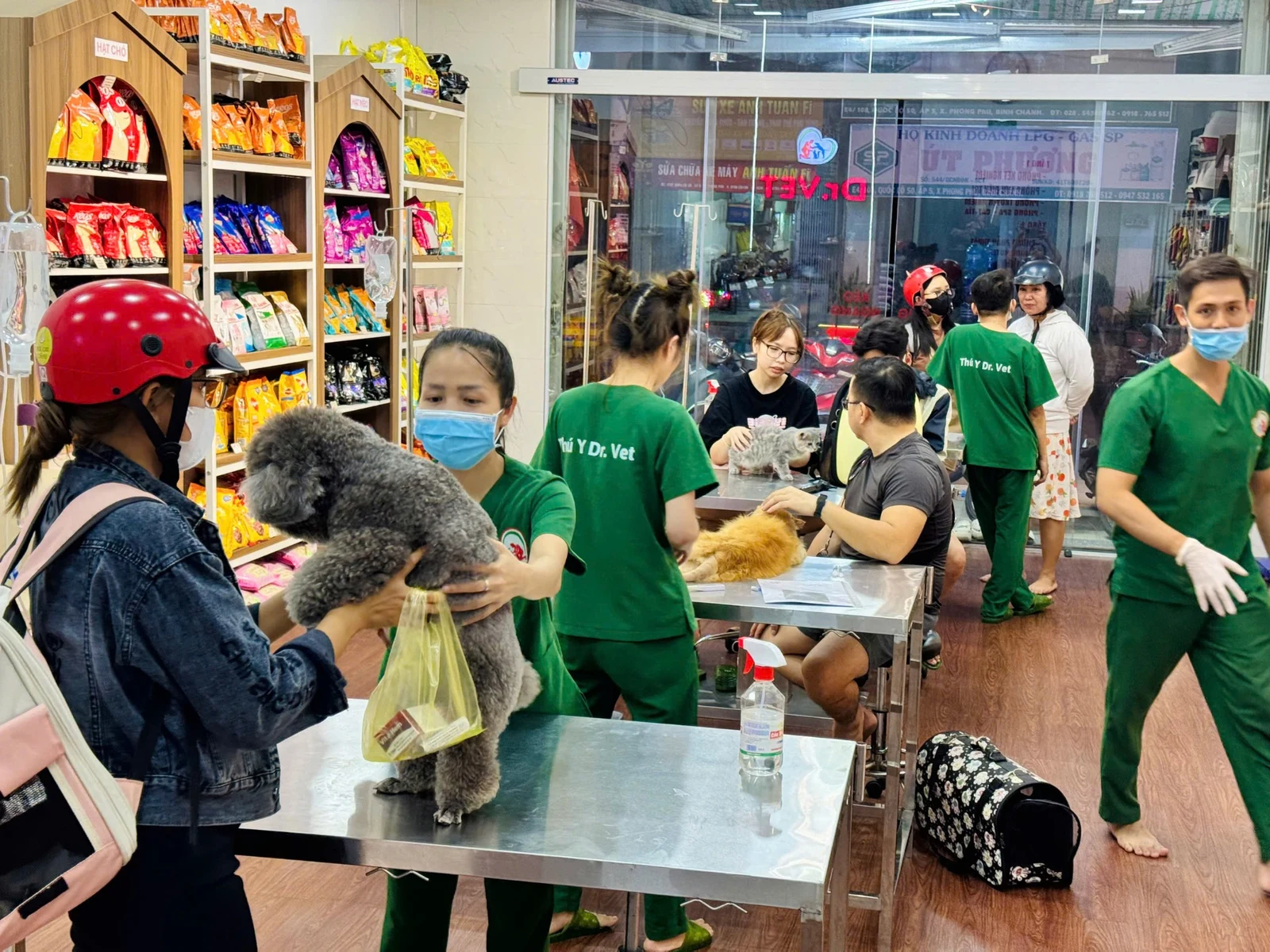Hoạt động tại DR.VET